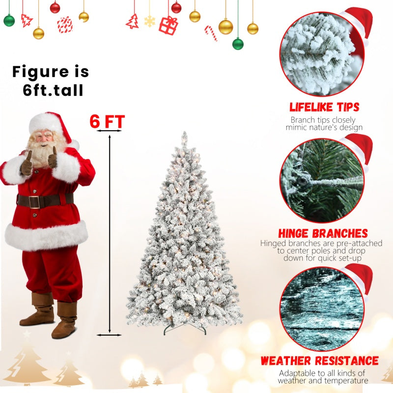 2c20a91e2f1b9eb2a6ff61c17325cf87